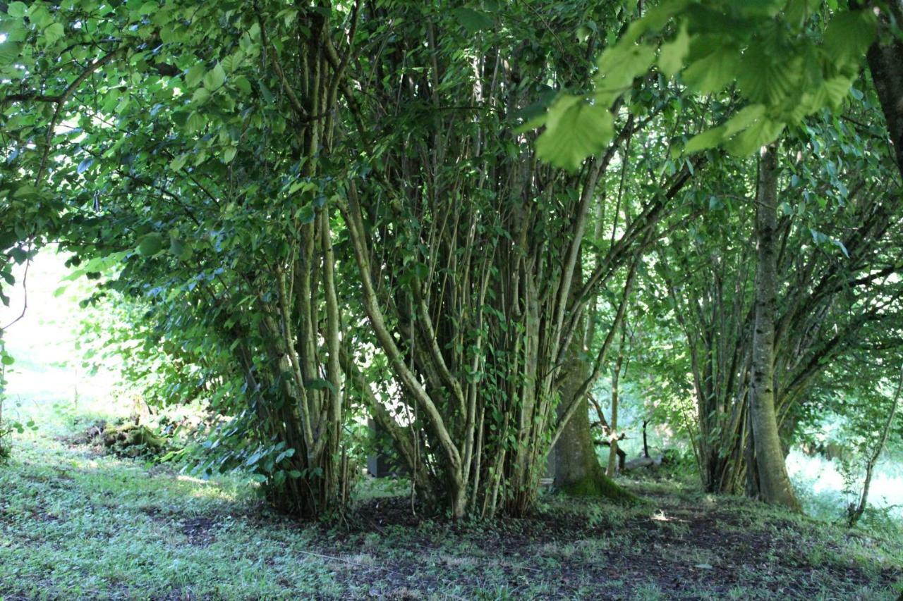 Du Cote De Lacoume Anla Exteriör bild