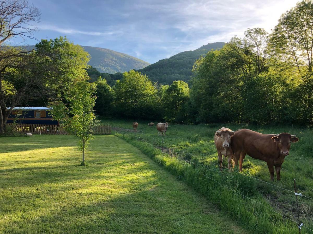 Du Cote De Lacoume Anla Exteriör bild